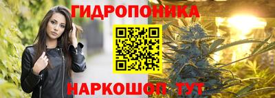 spice Бузулук